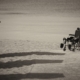 Uploaded via WPAPI